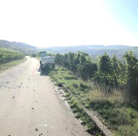 Gaestehaus Und Weingut Bernd Frieden ניטל
