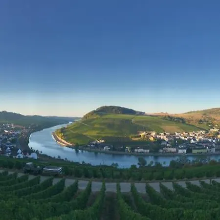 招待所 Gaestehaus Und Weingut Bernd Frieden 尼特尔