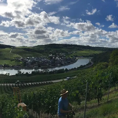 Gaestehaus Und Weingut Bernd Frieden 尼特尔