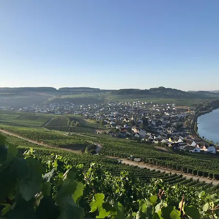 Gaestehaus Und Weingut Bernd Frieden 招待所