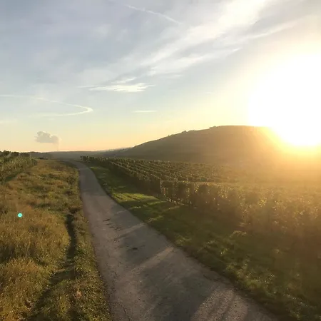 Gaestehaus Und Weingut Bernd Frieden בית הארחה 4*