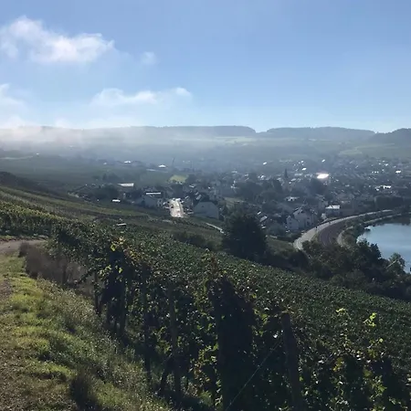 Pensión Gaestehaus Und Weingut Bernd Frieden Nittel