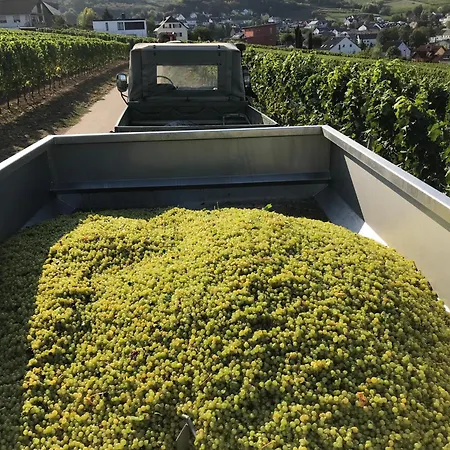 Gaestehaus Und Weingut Bernd Frieden