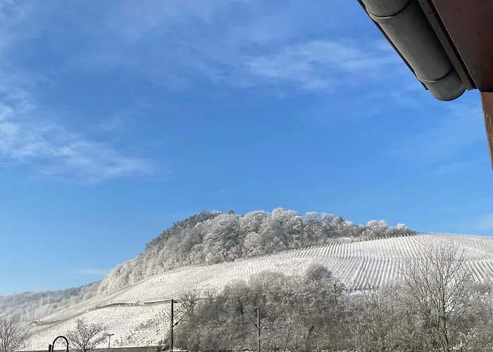 Gaestehaus Und Weingut Bernd Frieden 4* 니텔