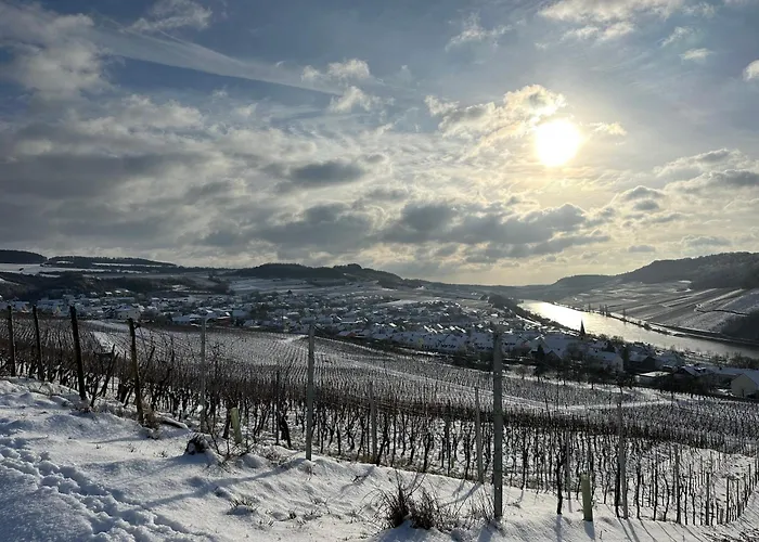 Gaestehaus Und Weingut Bernd Frieden 게스트하우스 4*