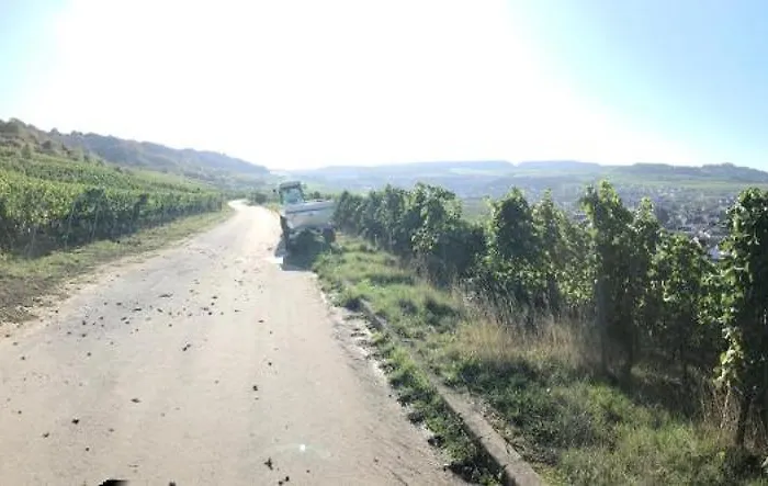 Gaestehaus Und Weingut Bernd Frieden 니텔
