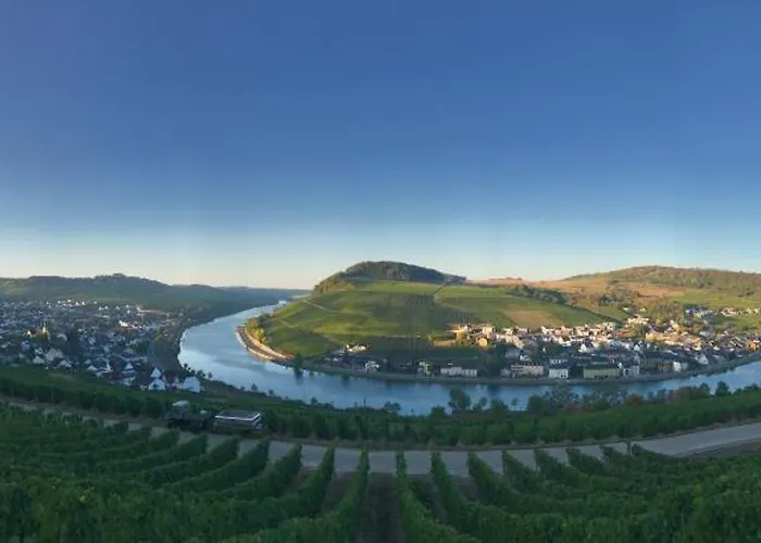 게스트하우스 Gaestehaus Und Weingut Bernd Frieden 니텔