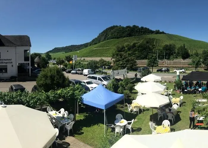 게스트하우스 Gaestehaus Und Weingut Bernd Frieden