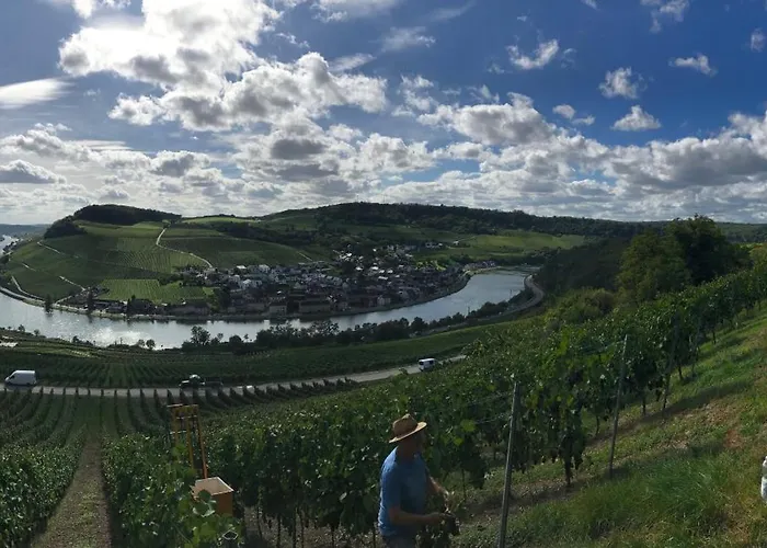 Gaestehaus Und Weingut Bernd Frieden 니텔