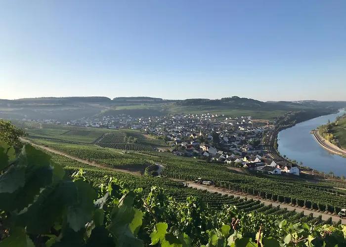 Gaestehaus Und Weingut Bernd Frieden 게스트하우스