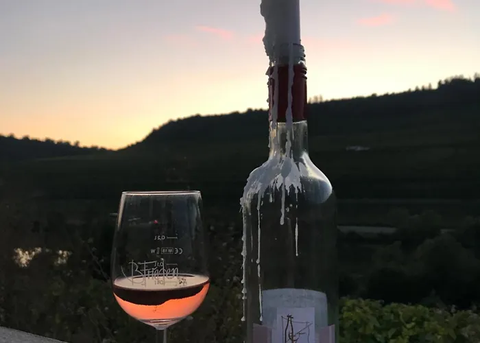 Gaestehaus Und Weingut Bernd Frieden