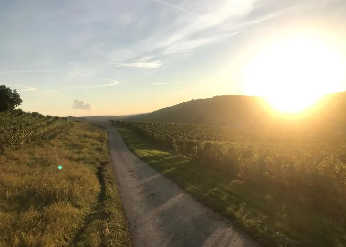 Gaestehaus Und Weingut Bernd Frieden 게스트하우스 4*