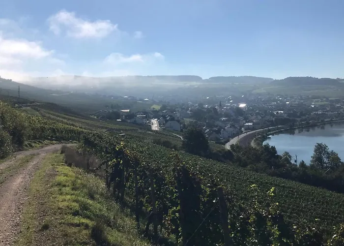 게스트하우스 Gaestehaus Und Weingut Bernd Frieden 니텔