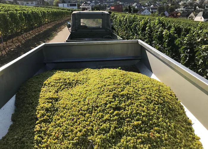 Gaestehaus Und Weingut Bernd Frieden