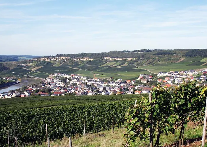 게스트하우스 Gaestehaus Und Weingut Bernd Frieden